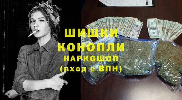 СК Саяногорск