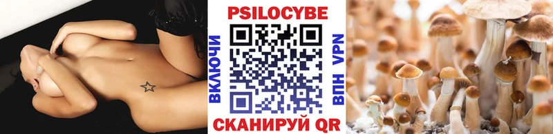 наркота  Кандалакша  Галлюциногенные грибы ЛСД 