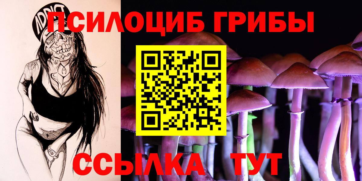 Галлюциногенные грибы Psilocybe  Псилоцибиновые грибы GOLDEN TEACHER  Кандалакша  Вход с VPN 